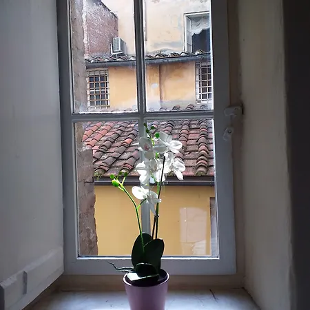 Charm Bed & Breakfast Lucca